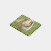 Cute Domestic Guinea Pig Post-it® Notes (Schuin)