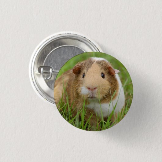 Cute Domestic Guinea Pig Ronde Button 3,2 Cm (Voorkant /achterkant)
