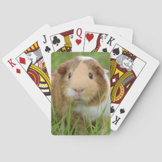Cute Domestic Guinea Pig Speelkaarten