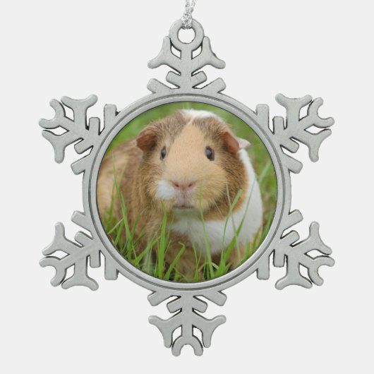 Cute Domestic Guinea Pig Tin Sneeuwvlok Ornament (Voorkant)