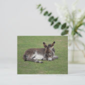 Cute donkey baby foal briefkaart (Staand voorkant)