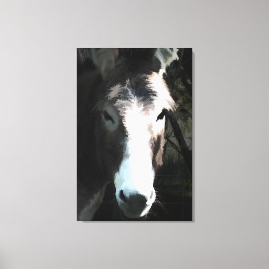 CUTE DONKEY CANVAS AFDRUK (Voorkant)