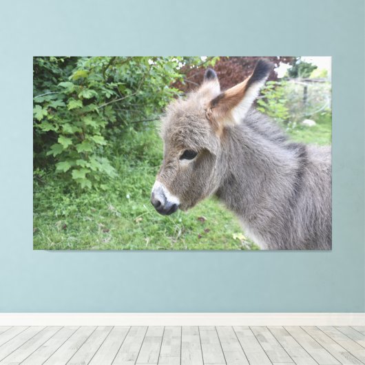Cute Donkey Canvas Afdruk (Insitu (Houten vloer))