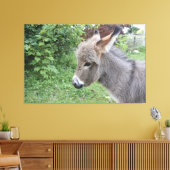 Cute Donkey Canvas Afdruk (Insitu (Woonkamer))