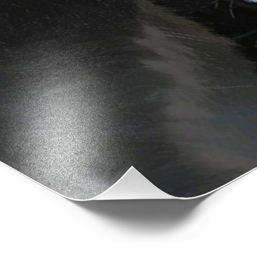 CUTE DONKEY FOTO AFDRUK (Hoek)