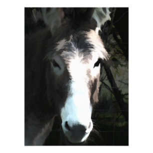 CUTE DONKEY FOTO AFDRUK