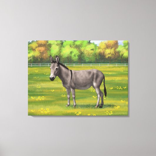 Cute Donkey Grey Burro in Pasture Canvas Afdruk (Voorkant)