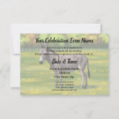 Cute Donkey Grey Burro in Pasture Kaart (Achterkant)