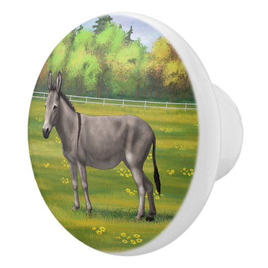 Cute Donkey Grey Burro in Pasture Keramische Knop (Rechts)