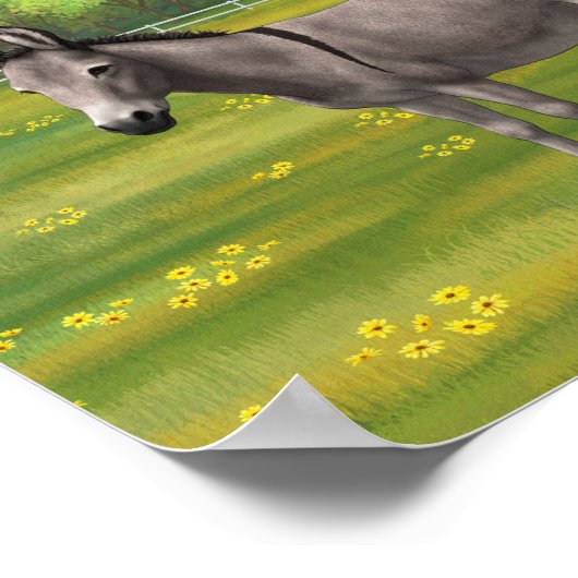 Cute Donkey Grey Burro in Pasture Poster (Hoek)