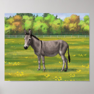 Cute Donkey Grey Burro in Pasture Poster