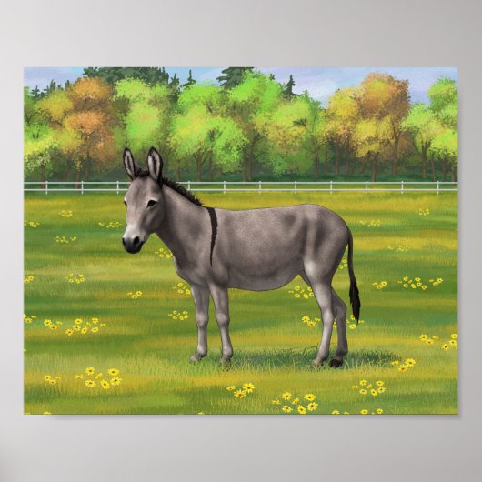 Cute Donkey Grey Burro in Pasture Poster (Voorkant)