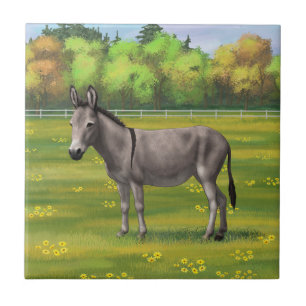 Cute Donkey Grey Burro in Pasture Tegeltje