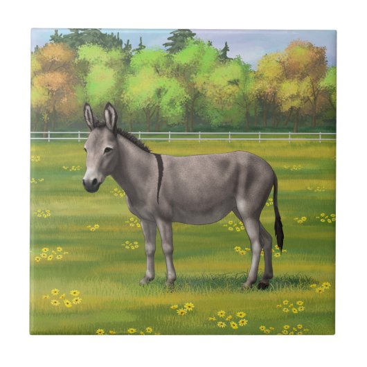 Cute Donkey Grey Burro in Pasture Tegeltje (Voorkant)