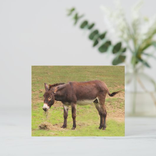 Cute Donkey heeft een groot Briefkaart (Staand voorkant)