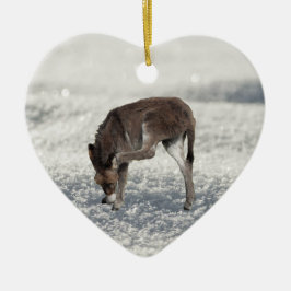 Cute Donkey in sneeuw Keramisch Ornament