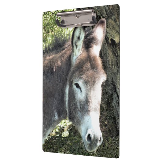 CUTE DONKEY KLEMBORD (Links)