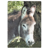 CUTE DONKEY KLEMBORD (Achterkant)
