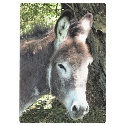 CUTE DONKEY KLEMBORD (Achterkant)