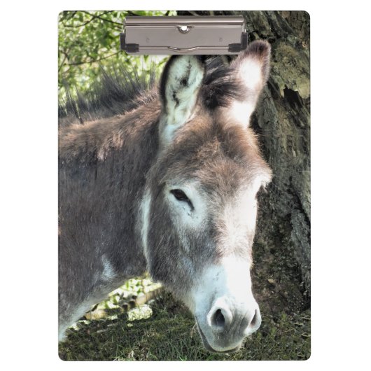 CUTE DONKEY KLEMBORD (Voorkant)