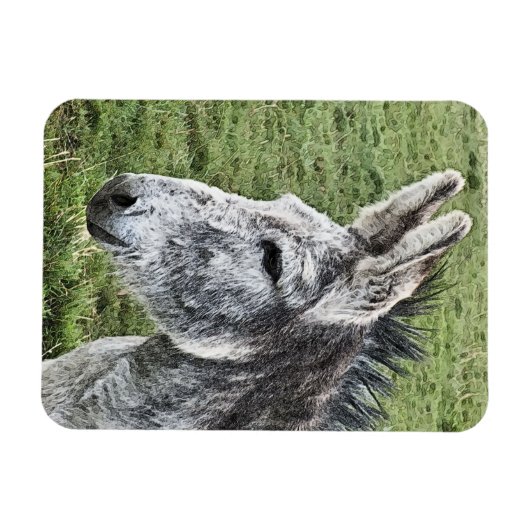 CUTE DONKEY MAGNEET (Horizontaal)