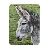 CUTE DONKEY MAGNEET (Verticaal)