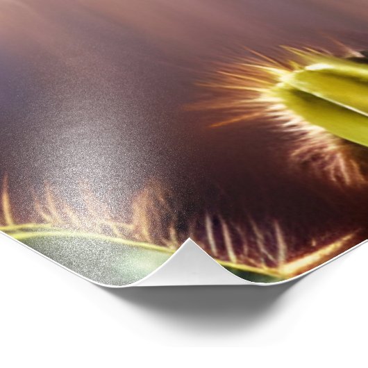 Cute Donkey met bloeiende cactus Foto Afdruk (Hoek)