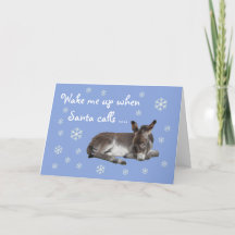 Cute Donkey Snowflakes Blue Kerstmis