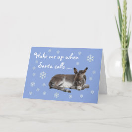 Cute Donkey Snowflakes Blue Kerstmis Feestdagen Kaart