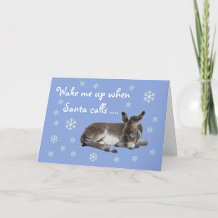 Cute Donkey Snowflakes Blue Kerstmis Feestdagen Kaart