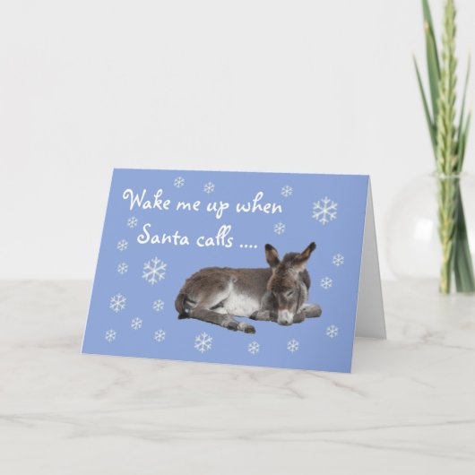 Cute Donkey Snowflakes Blue Kerstmis Feestdagen Kaart (Voorkant)