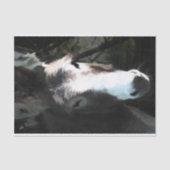 CUTE DONKEY TISSUEPAPIER (Voorkant)