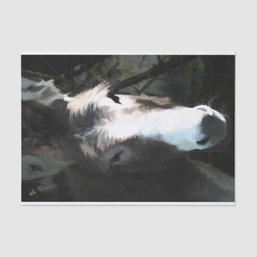 CUTE DONKEY TISSUEPAPIER (Voorkant)