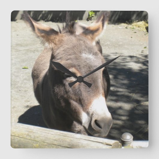 Cute Donkey Wall Clock Vierkante Klok (Voorkant)