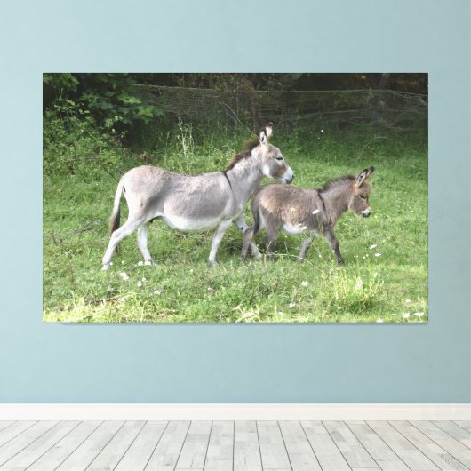 Cute Donkeys Canvas Afdruk (Insitu (Houten vloer))