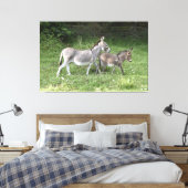 Cute Donkeys Canvas Afdruk (Insitu (Slaapkamer))