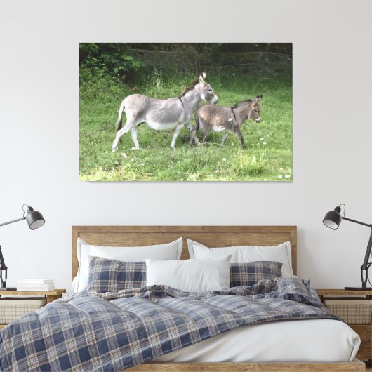 Cute Donkeys Canvas Afdruk (Insitu (Slaapkamer))