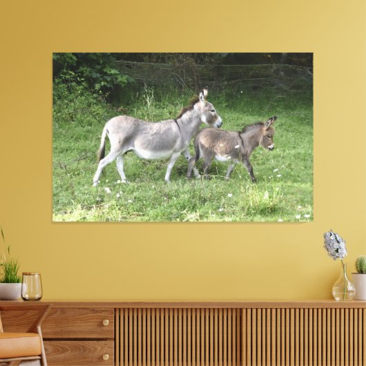 Cute Donkeys Canvas Afdruk (Insitu (Woonkamer))