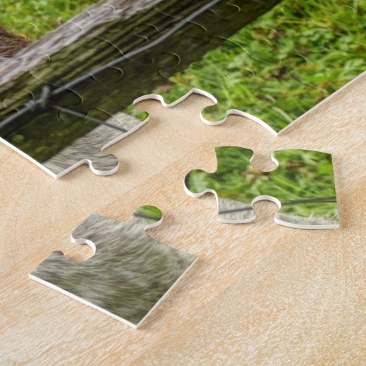 Cute Donkeys In Misty Paddock Animals Nature Legpuzzel (Zijkant)