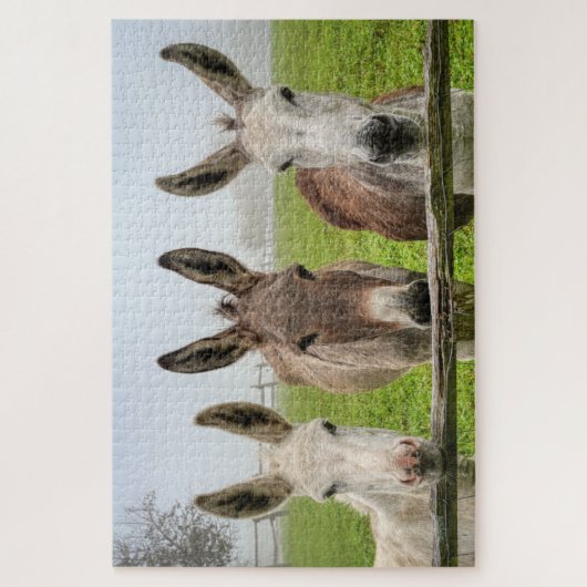 Cute Donkeys In Misty Paddock Animals Nature Legpuzzel (Verticaal)