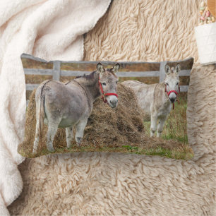 Cute Donkeys Kussen