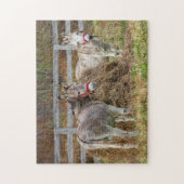 Cute Donkeys Legpuzzel (Verticaal)