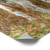 Cute Donkeys Poster (Hoek)