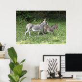 Cute Donkeys Poster (Thuiskantoor)