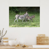 Cute Donkeys Poster (Keuken)