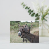 Cute Donkeys Yawning Briefkaart (Staand voorkant)