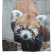 Cute Douchegordijn (Voorkant)