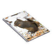 Cute Douglas Squirrel Enjoing a Winter Feast Notitieboek (Rechterzijde)