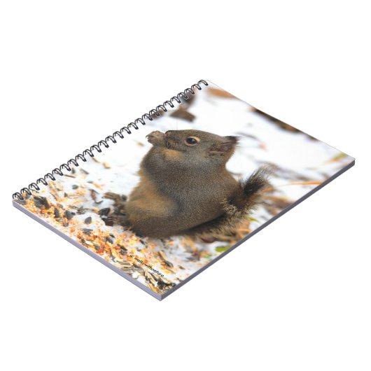 Cute Douglas Squirrel Enjoing a Winter Feast Notitieboek (Linkerzijde)