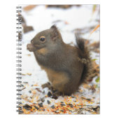 Cute Douglas Squirrel Enjoing a Winter Feast Notitieboek (Voorkant)